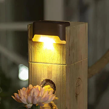 Product showcase image