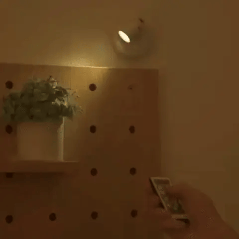 Product showcase image