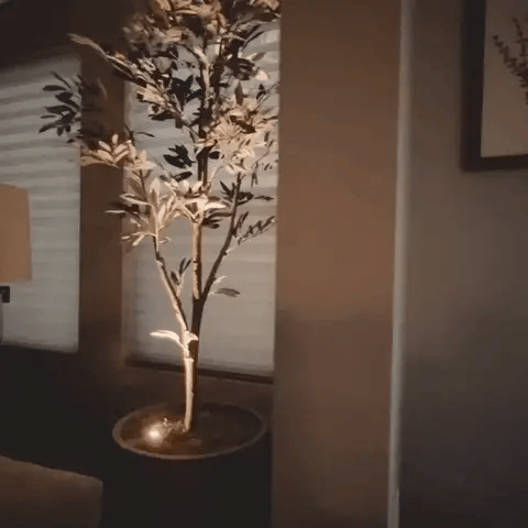 Product showcase image